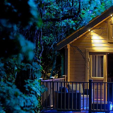 Alum Chine Log Cabin Villa Bournemouth Eksteriør billede