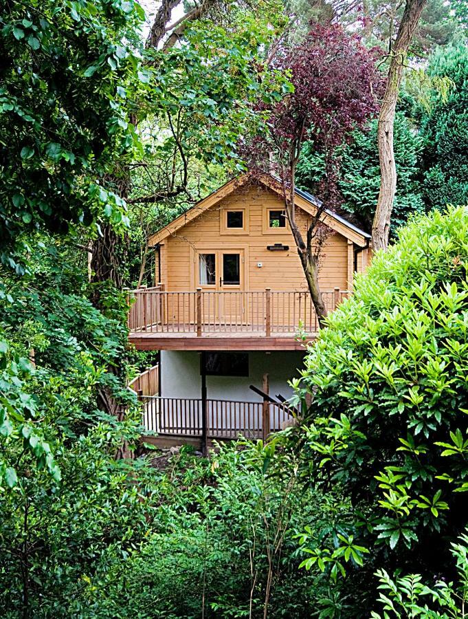 Alum Chine Log Cabin Villa Bournemouth Eksteriør billede